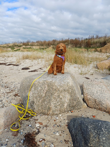 Photo from customer review