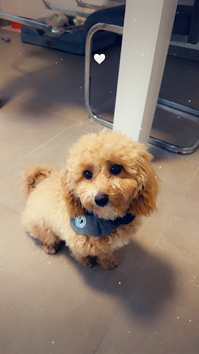 Photo from customer review